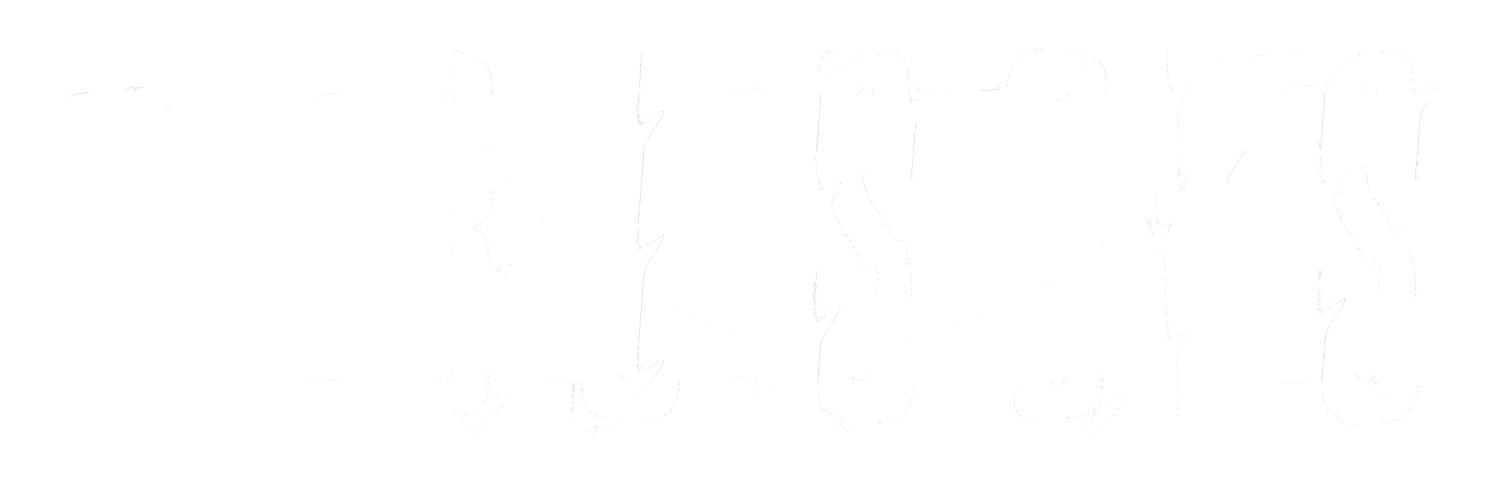TBS LOGO